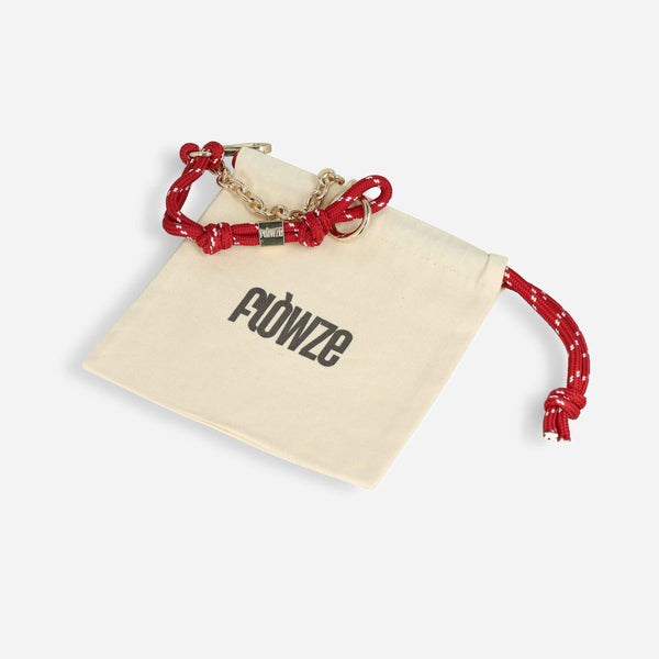F L Ò / L I N K RASPBERRY - Charm per borsa con catena dorata